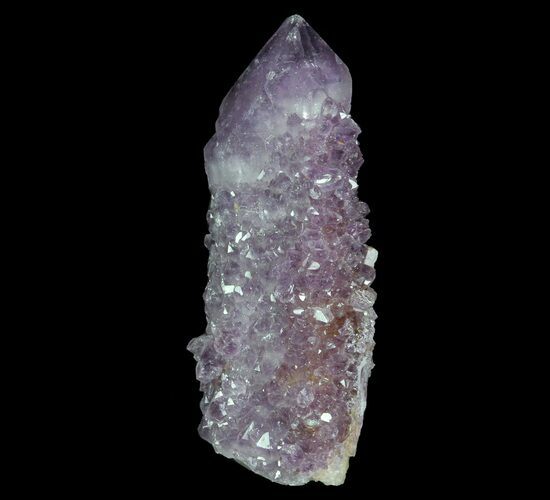 Dark Cactus Quartz (Amethyst) Crystal - South Africa #64241